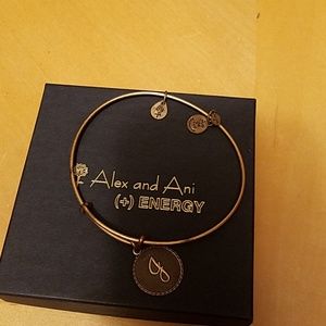 Alex and Ani Bracelet
